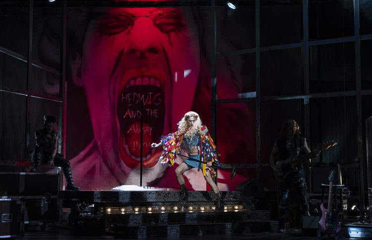 Hediwg and the Angry Inch – Ein Interview mit Regisseur Carsten Kirchmeier