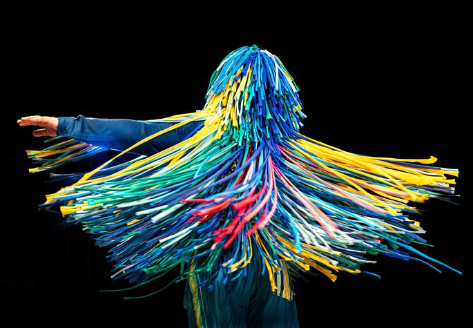 The Sticky Dance Bild